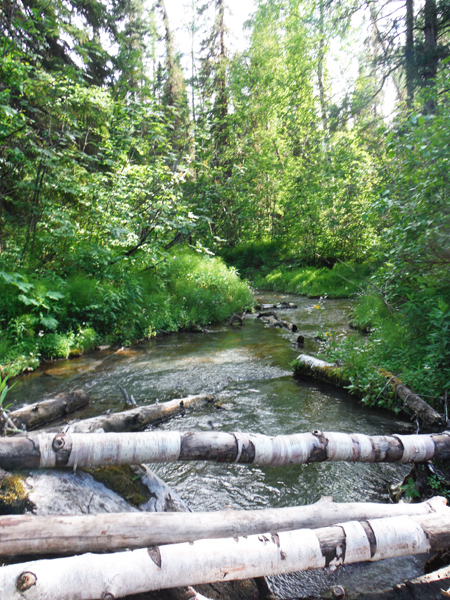 river blockage